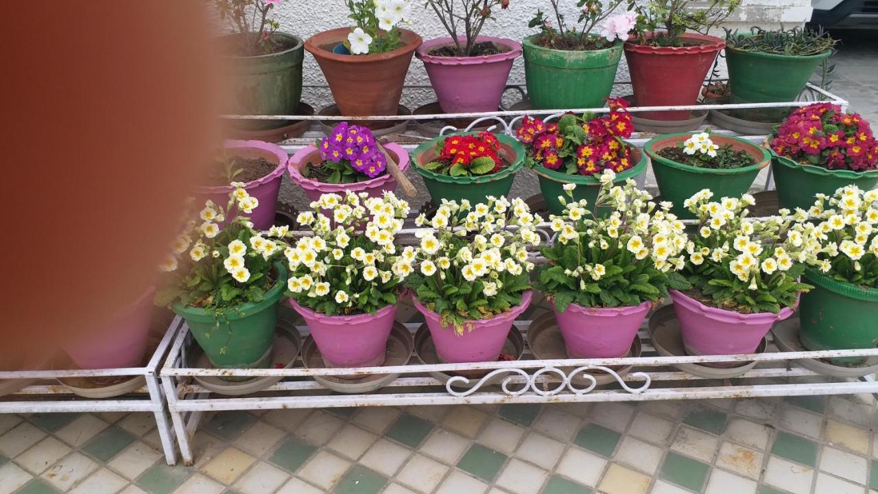 Rosewood Estate Bed & Breakfast Chail Exterior photo