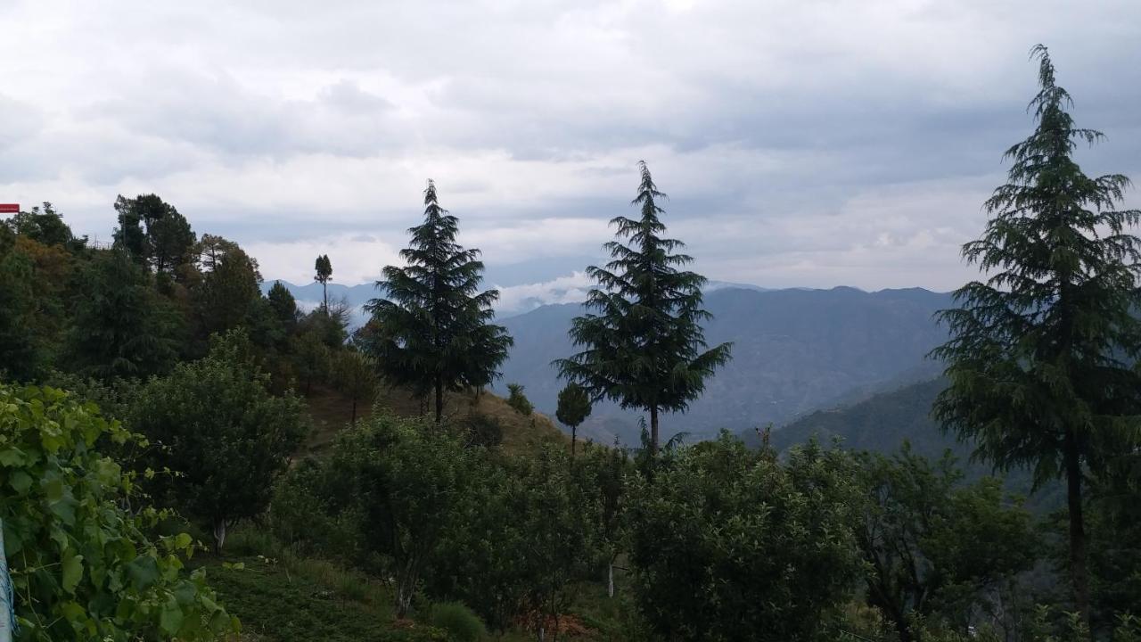 Rosewood Estate Bed & Breakfast Chail Exterior photo
